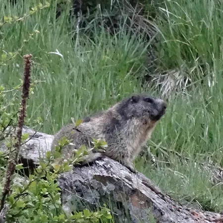 Emelie 4**** ツェルマット